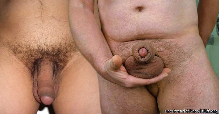    .... pretty pair !!  