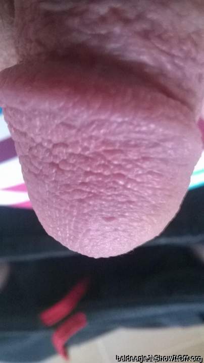 close up head