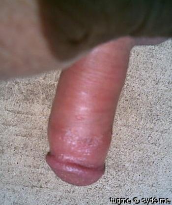 Photo of a purple headed monster from tugme