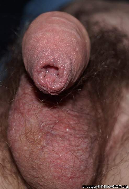 Photo of a bat from uncutguy84