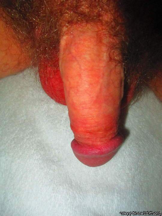 Photo of a dick from cskyy