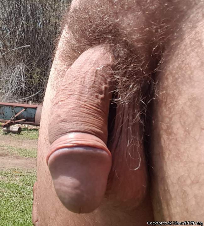   Beautiful penis and bush!