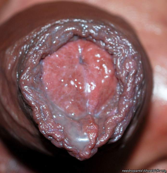 Photo of a cock from neednopants
