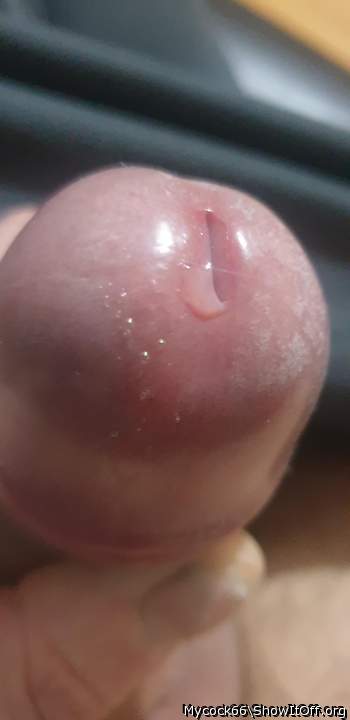 Photo of a pecker from MYCOCK66
