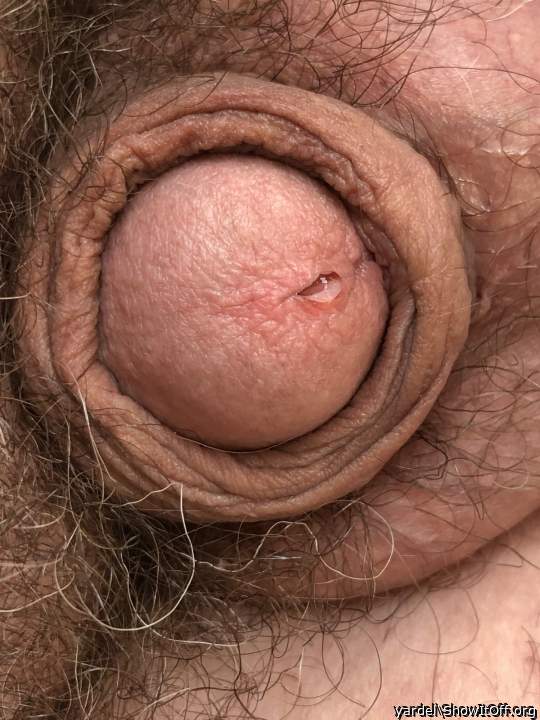 Vorsamen