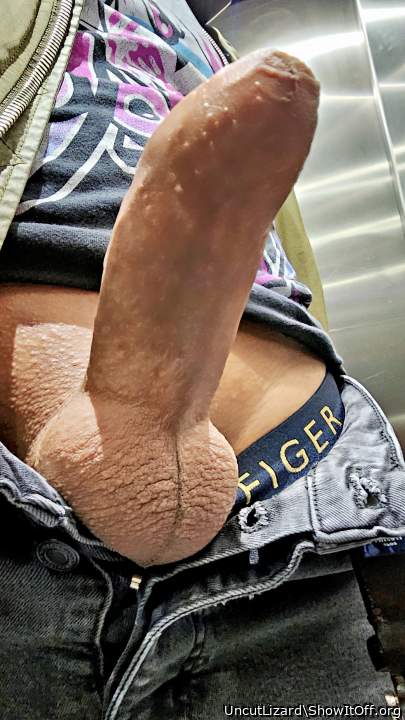 Photo of a penis from UncutLizard