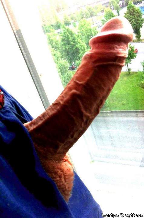 Geiles Bild... 