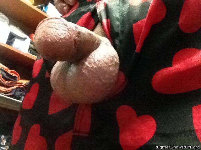 Photo of a dong from tugme
