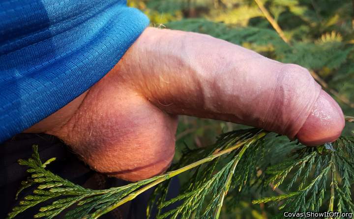 I'd love to lick that for you