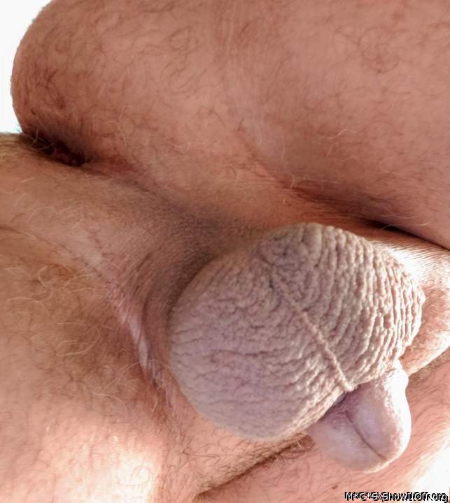 Photo of a python from M*C*S