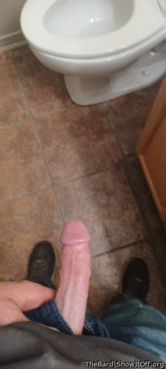 Photo of a boner from TheBard