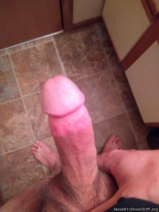 Photo of a cavalier from Barefootjess