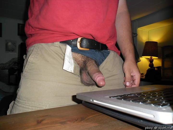 Photo of a middle leg from pboy