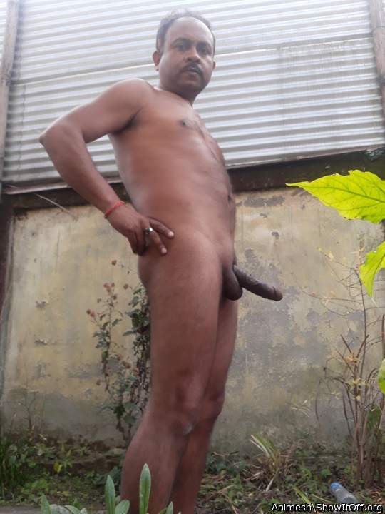 Photo of a dong from Animesh