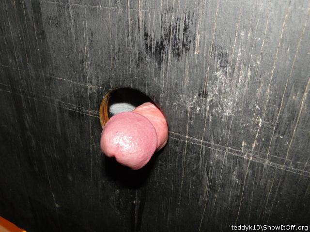 Photo of a wiener from teddyk13
