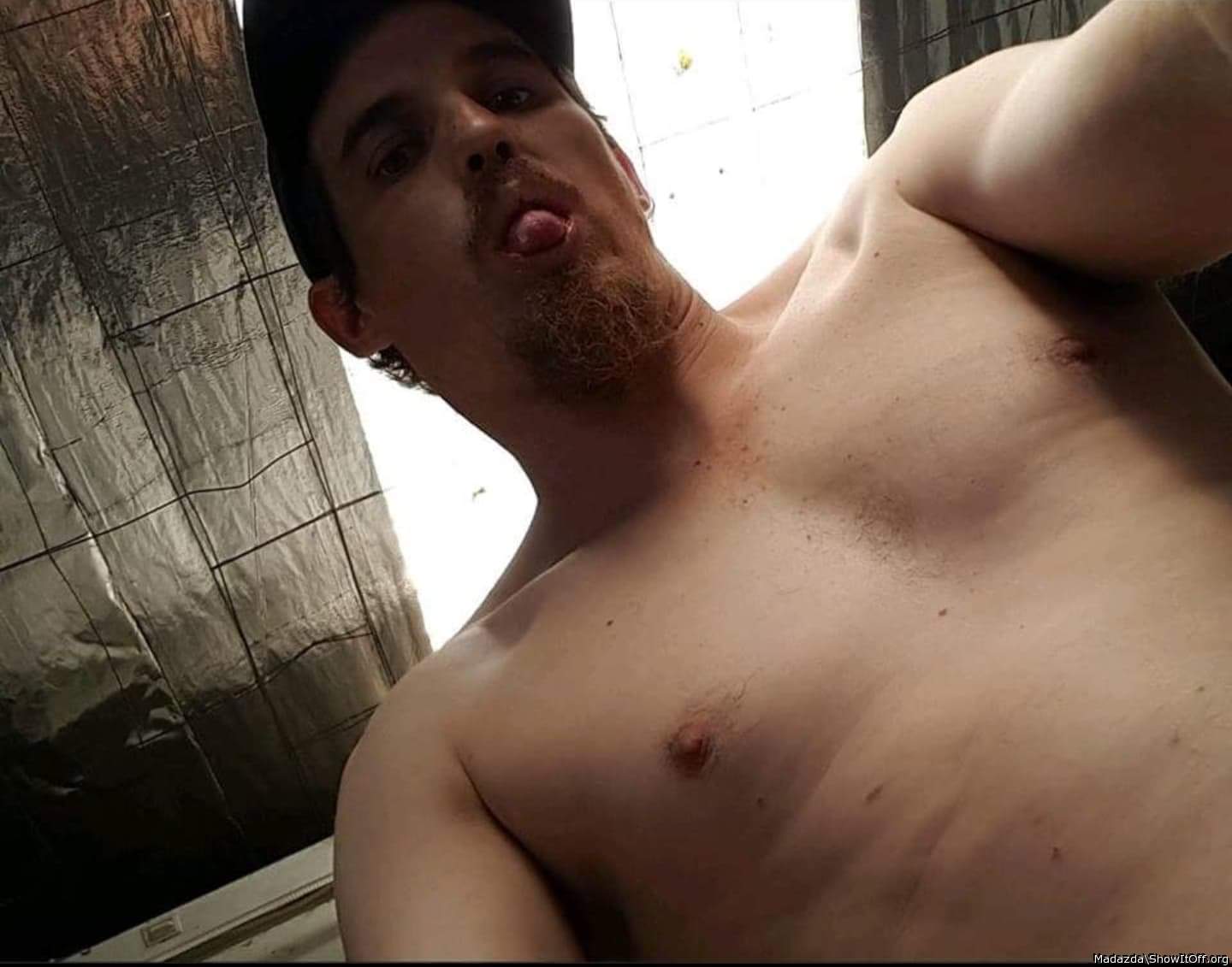 Photo of a dong from Madazda
