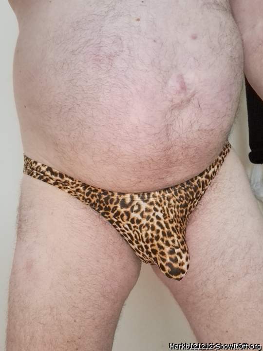 Leopard &#128006;