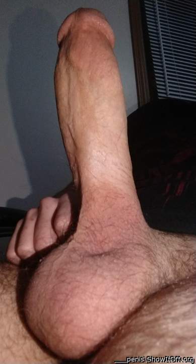 Fat Penis