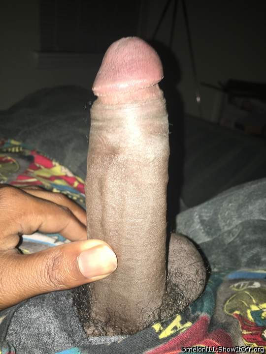 My Cock
