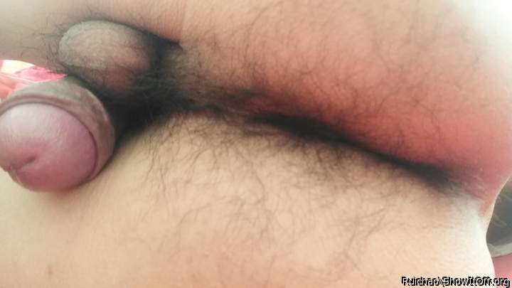 All your sexy bits