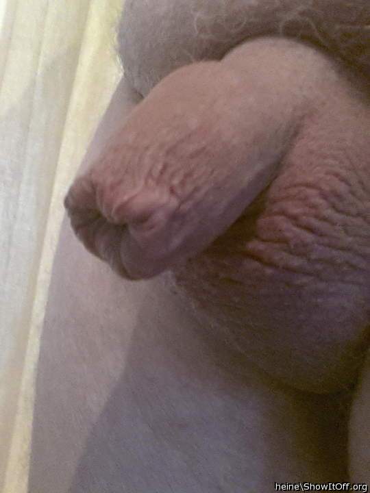 j'ai regard toute tes photos tu as une dlicieuse bite un v