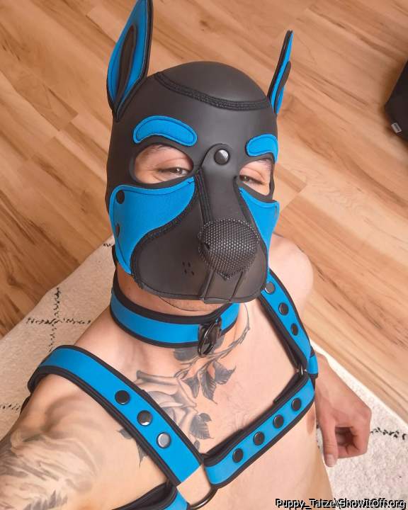  deine Dog-Maske schaut saugeil aus   
