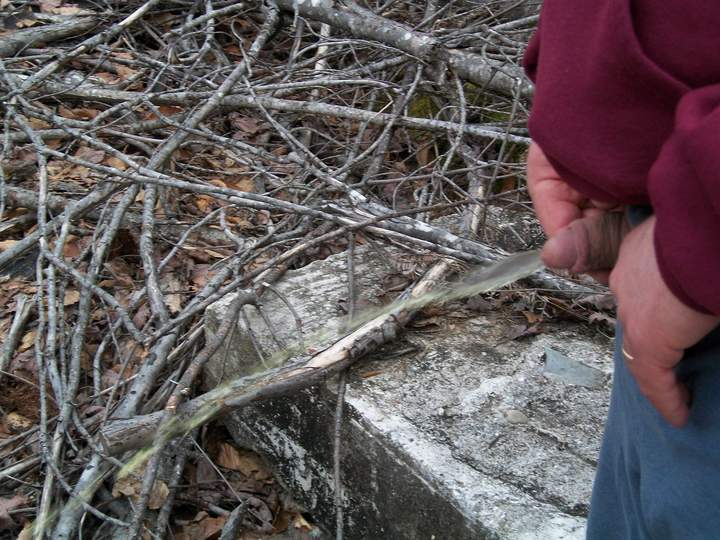 Photo of a penis from avgcock