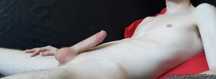 Photo of a middle leg from Dickslap