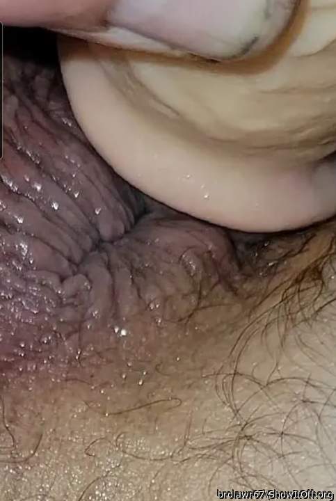 Photo of a third leg from brolawr67