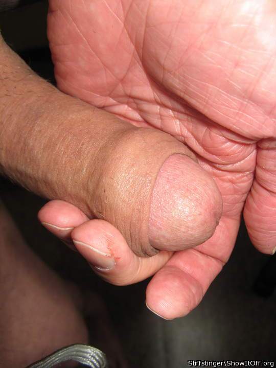 Photo of a schlong from stiffstinger