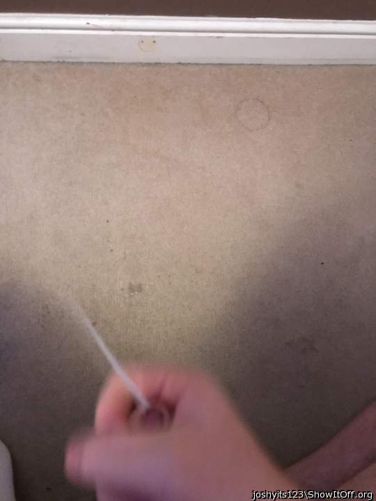 Photo of a prick from Josh199503