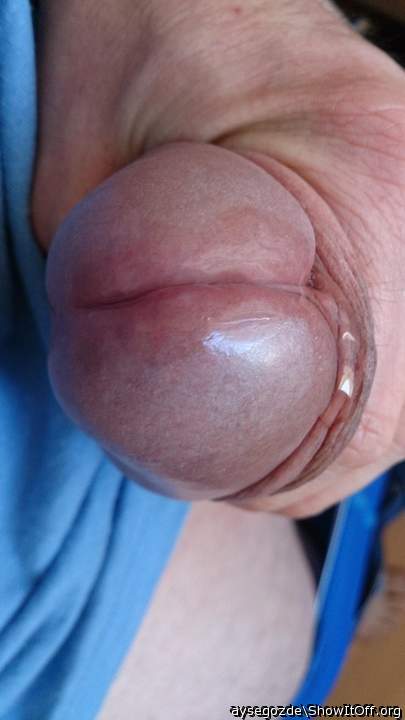 Photo of a penis from aysegozde