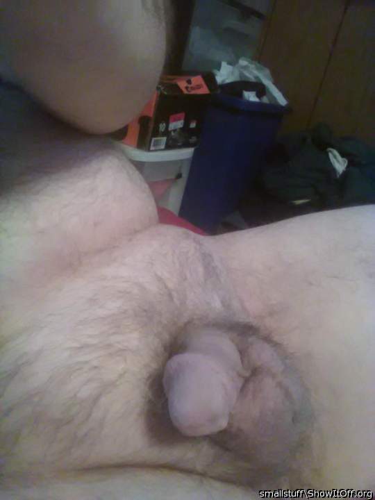 Photo of a hot dog from smallstuff