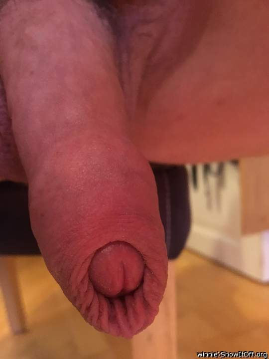 Photo of a weasel from winnie