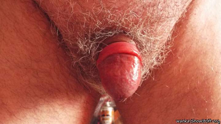 Photo of a weasel from wanka