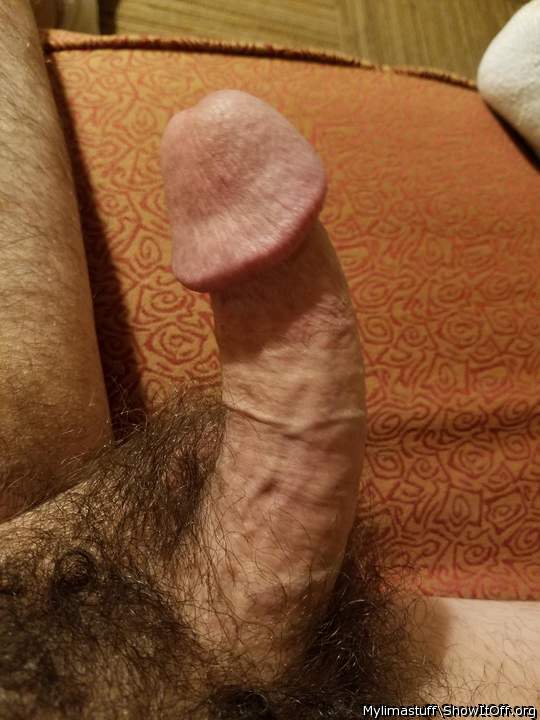 Photo of a hot dog from Mylimastuff