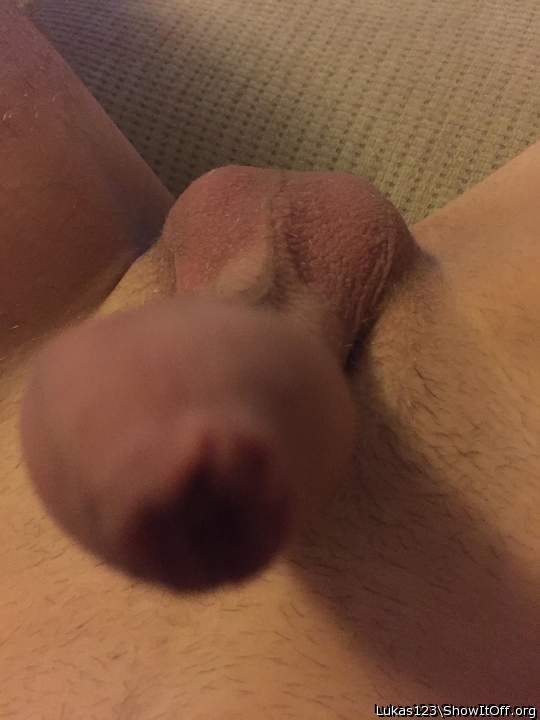 Photo of a short leg from Lukas123