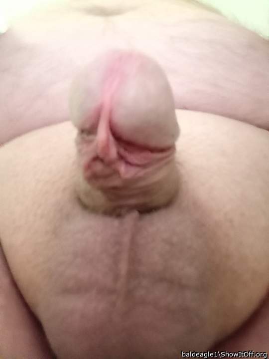 What a fantastic frenulum.
