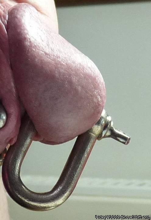 Shackle
