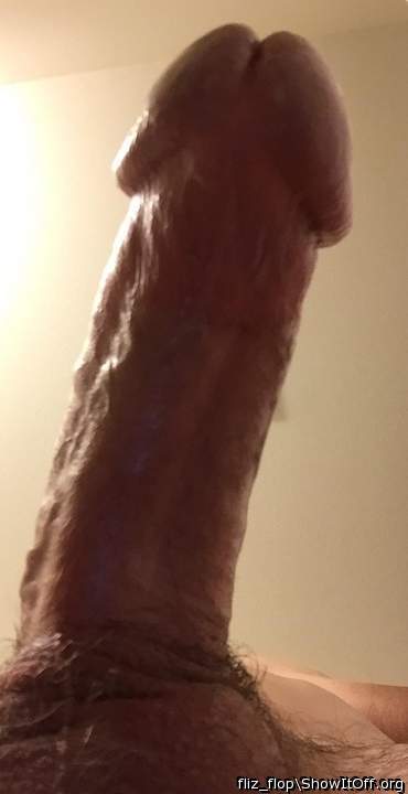 Photo of a stiffie from fliz_flop