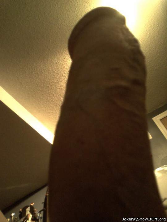 Photo of a pecker from Jaker9