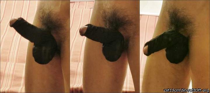 Photo of a horn from csf13cm
