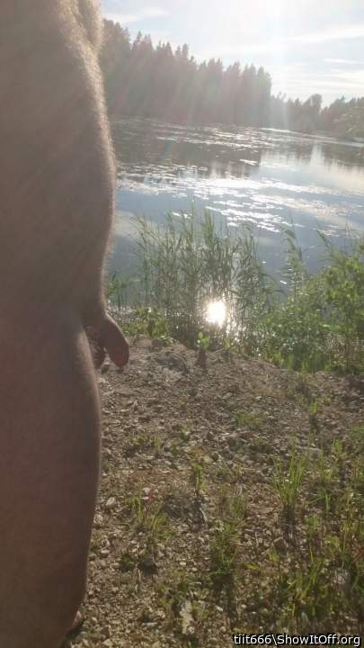 Photo of a cock from tiit666