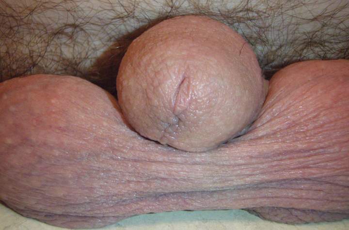 Photo of a meat stick from lilsoftee