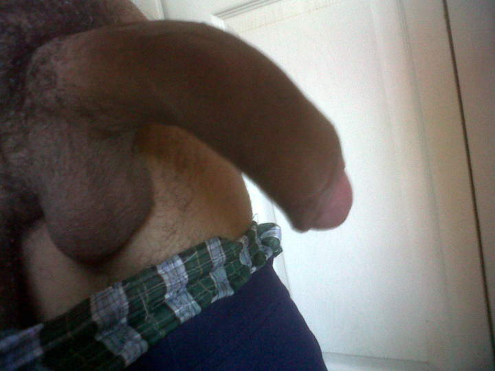 Photo of a private part from TicoNo