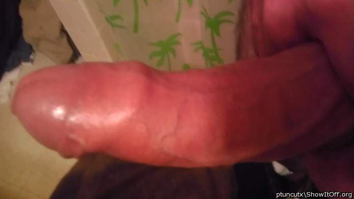 Photo of a third leg from ptuncutx