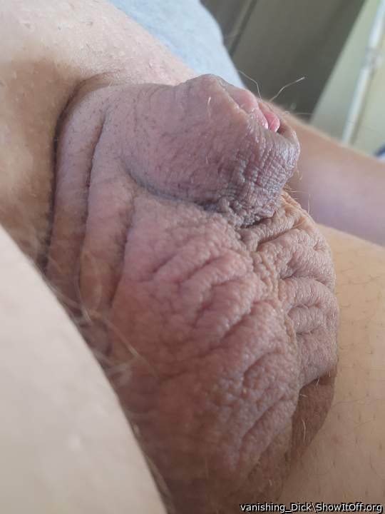 Shaved