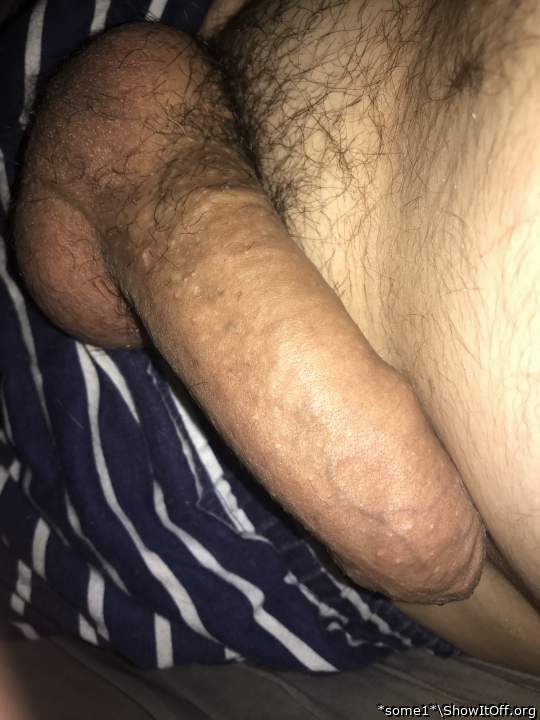Photo of a weasel from *some1*