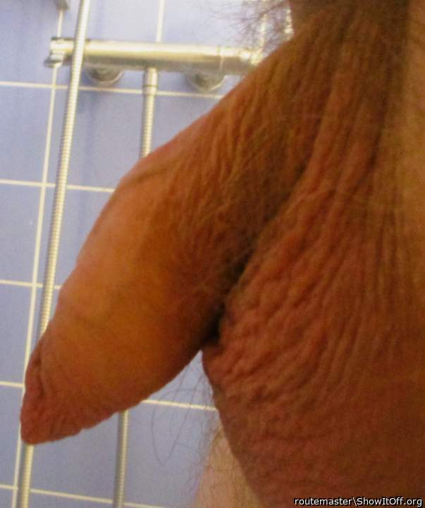 My early Saturday morning uncut dick and balls before shower, 22.3.25