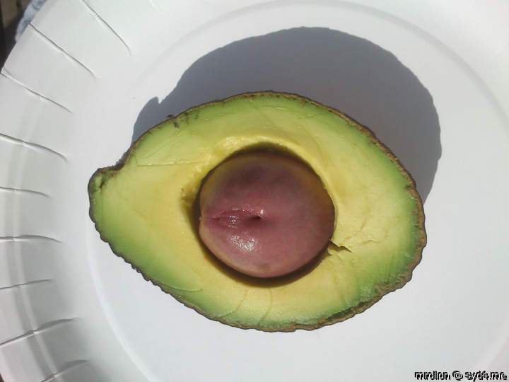 Bad Avocado!!!